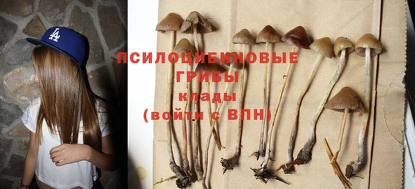 PSILOCYBIN Ростов